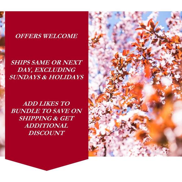 EMI Womens Pastel Pink Graphic‎ Cropped S.C. Hoodie Size 2XL-Trendy Casual Vibes - Picture 6 of 6